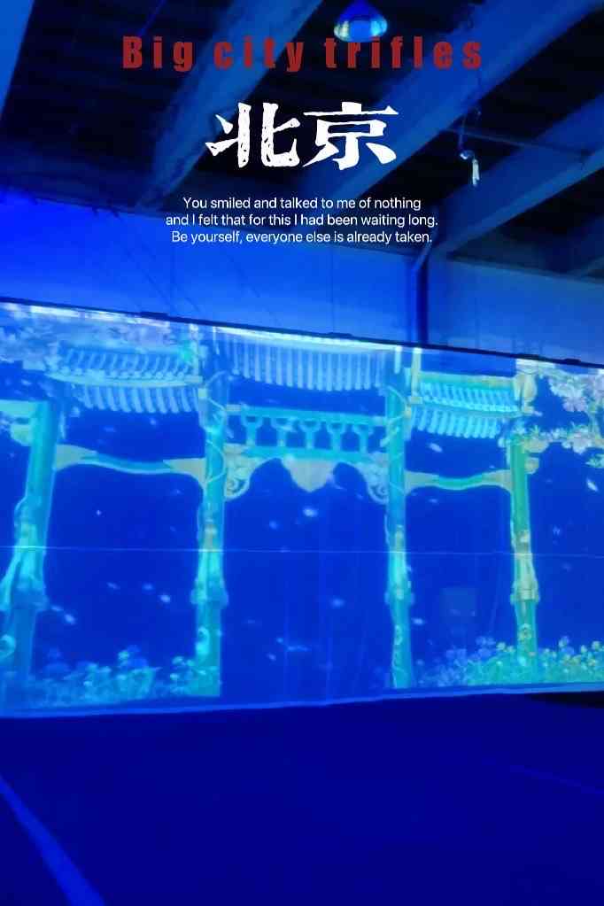 蒸汽朋克数字海洋馆