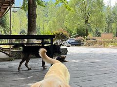 -途中饭店(开化店)