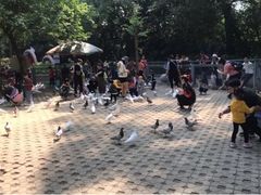 -柳州市动物园