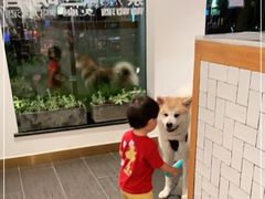 -BOCATA 西班牙餐厅(三里屯店)