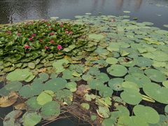 -前关湿地公园