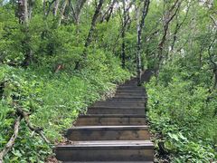 -白草畔自然风景区