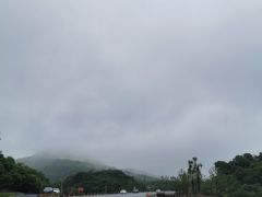 -合肥滨湖国家森林公园