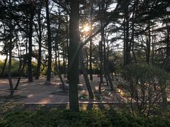 -莱西月湖公园