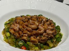 -子福慧(虹桥店)