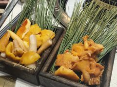 -木王宴语·野生鲜菌火锅(玉河店)