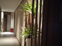 -清涟·足浴·spa·养生馆(重庆天地店)