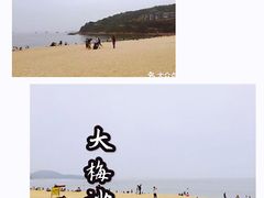 -杨梅坑