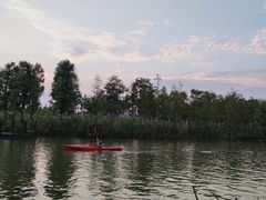 -上海长兴岛郊野公园