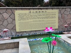 -汤山一号温泉度假区