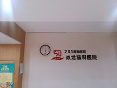 -艾贝尔宠物医院·24H转诊中心·肿瘤猫专科(江宁双龙店)