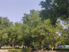 -方庄体育公园