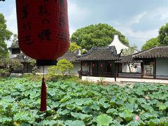 -上海醉白池公园