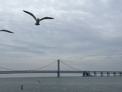 -星海广场