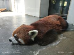 -西安秦岭野生动物园