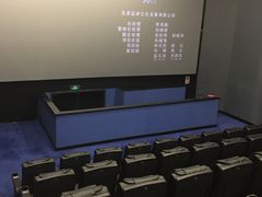 -SFC上影影城(港汇永华IMAX激光店)