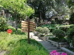 -乌山风景区