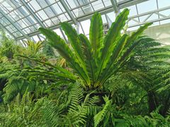 -国家植物园南园