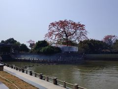 -喜洲吧·江畔老船厂·庭院餐厅(喜临院店)
