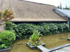 -老房子金沙元年川菜食府·花园餐厅(金沙店)
