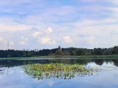 -溱湖国家湿地公园