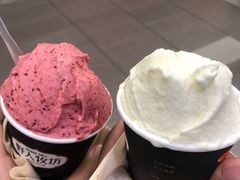 -野人先生现做冰淇淋(西安赛格店)