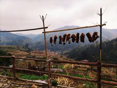 -南靖田螺坑土楼群景区