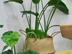 -GOOD好事咖啡(会展城店)