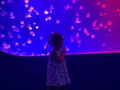 -宁波海洋世界-售票处