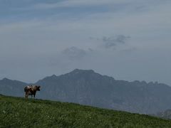 -灵山