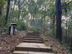 -九曜山