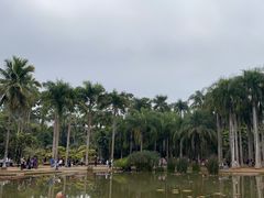 -中国科学院西双版纳热带植物园