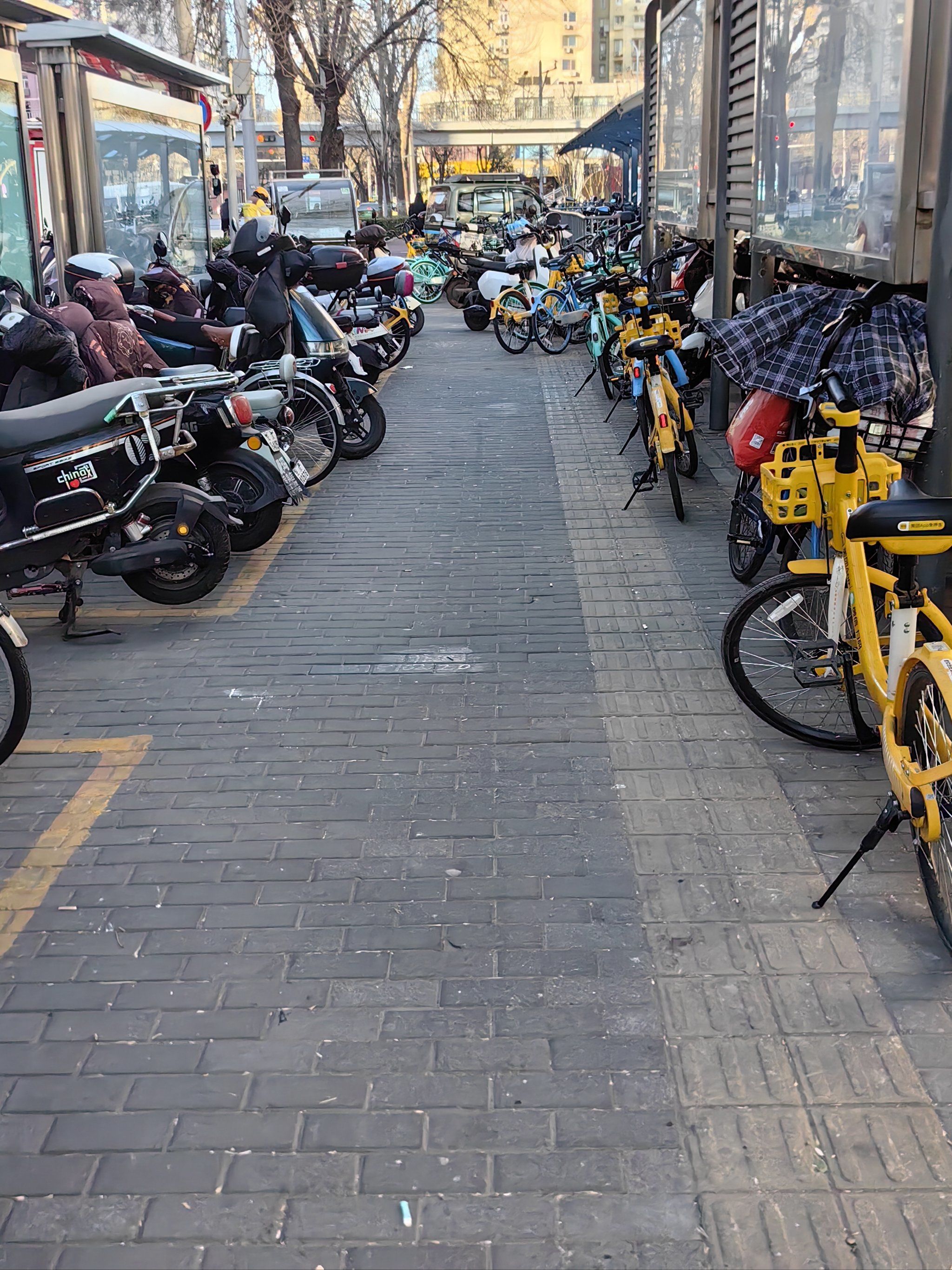 忙碌街道一瞥😂行人成了弱势群体😭