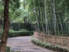 -乌镇东栅景区