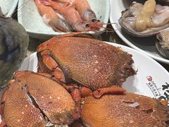 -初色海鲜自助(万丰路店)