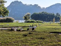 -星湖旅游景区七星岩