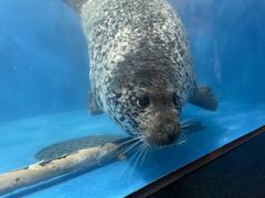 -成都浩海立方海洋公园