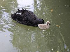 -洛阳市隋唐城遗址植物园