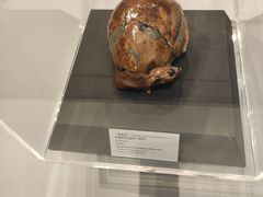 -北京周口店北京人遗址博物馆