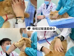 -pd派德宠物中心医院24H急重症·眼科中心·血液透析中心(嵩山北路店)