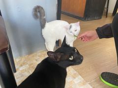 -南蚝小贝海鲜特色餐厅(南澳岛店)