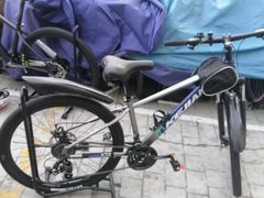 -道路口单车爱瓦士dahon大行