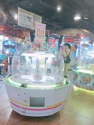 -卡通尼·Safari非洲探索乐园·生日会(金桥国际商业广场店)