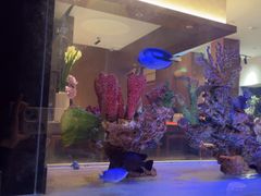 -水之惠鲜鱼料理(王府大街店)