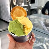 温州五马街 平价的宝藏gelato‼️