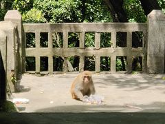 -黔灵山公园