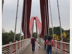 -玉树公园