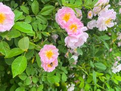 -鸿山遗址博物馆