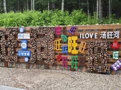 -汤旺河林海奇石景区