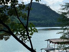 -水濂山森林公园